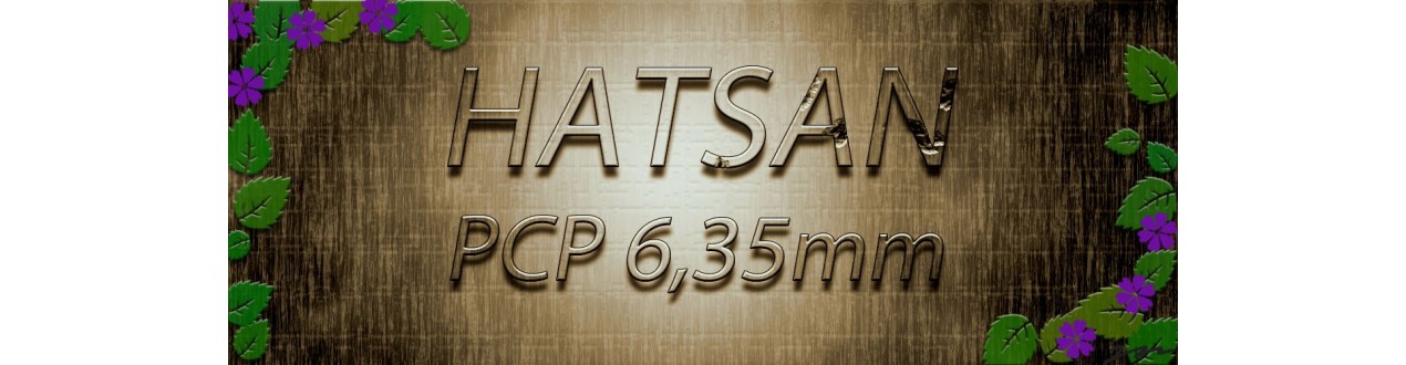 hatsan pcp 6,35mm